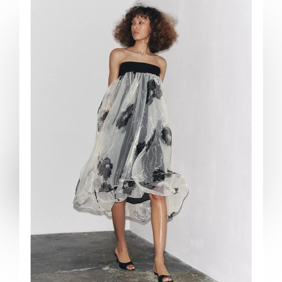 Zara Dresses & Skirts - Zara ZW Collection Printed Organza Dress